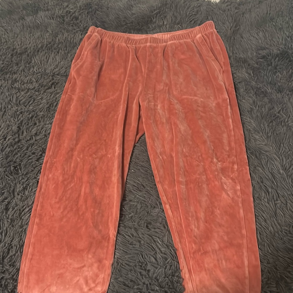 Velvet sweatpants